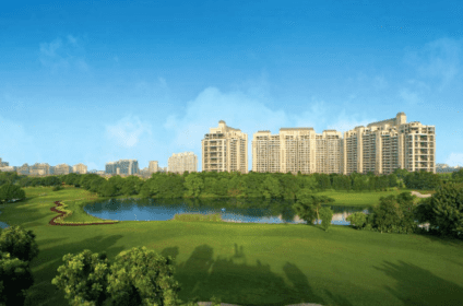 DLF Primus