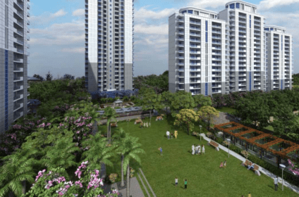 DLF Ultima